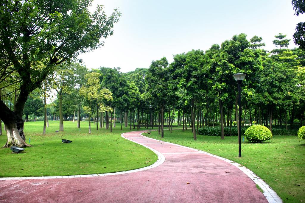 城市廣場(chǎng)綠化工程