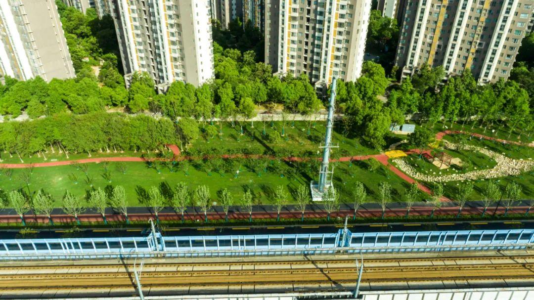 鹽山縣鳳池環(huán)島、鳳凰路、平安大街綠化